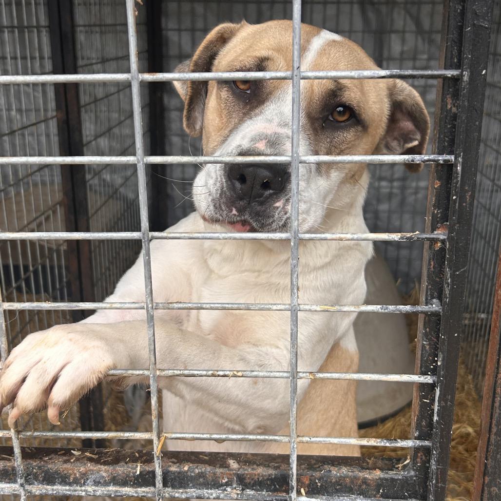 Lady — thumbnail 5