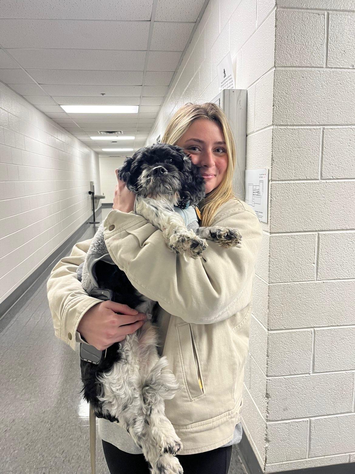 Skippy, a Adoptable Cocker Spaniel image 4/6