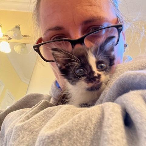 Merryweather thumbnail 4