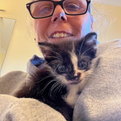 Merryweather thumbnail 6