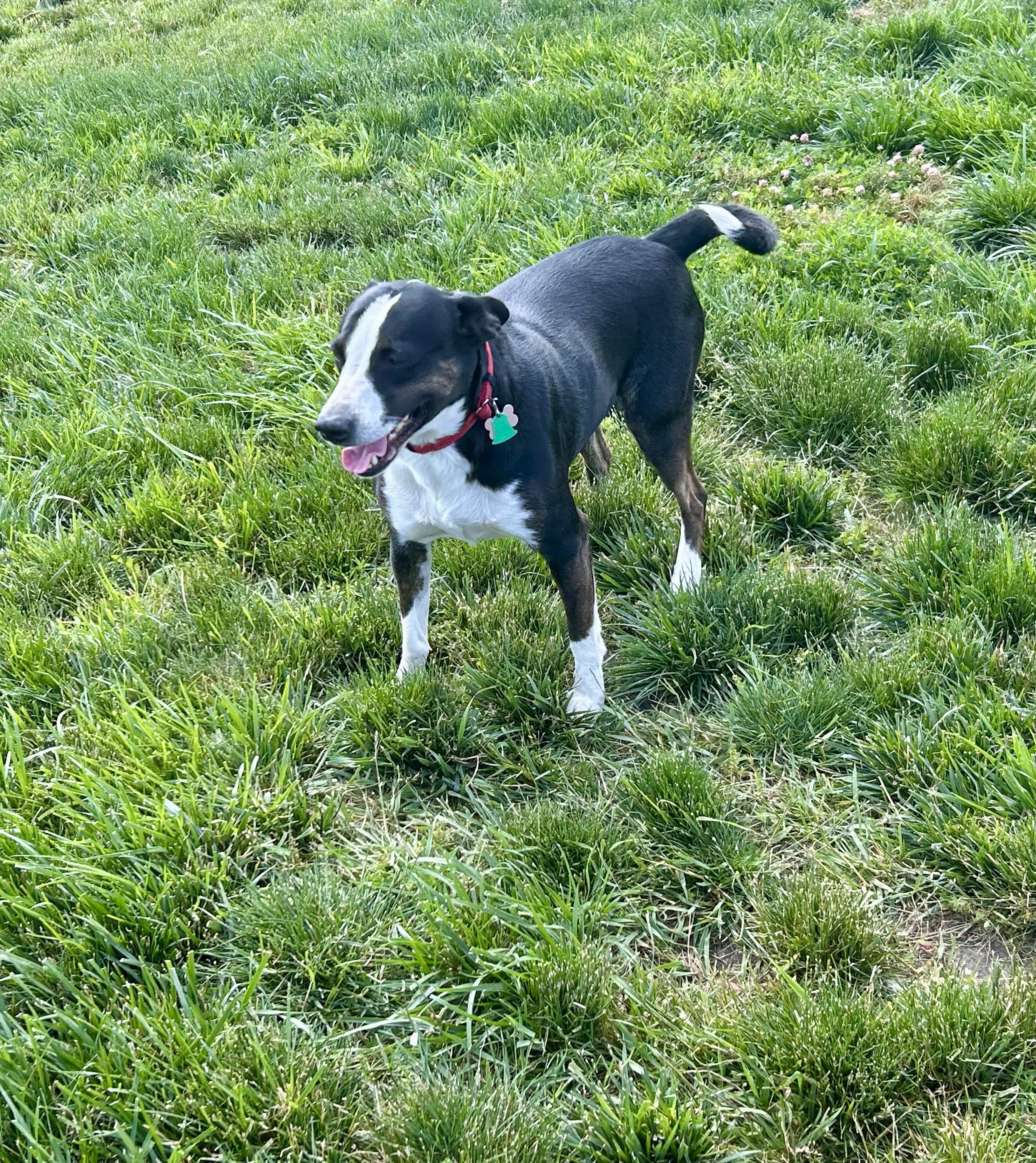 Reggie