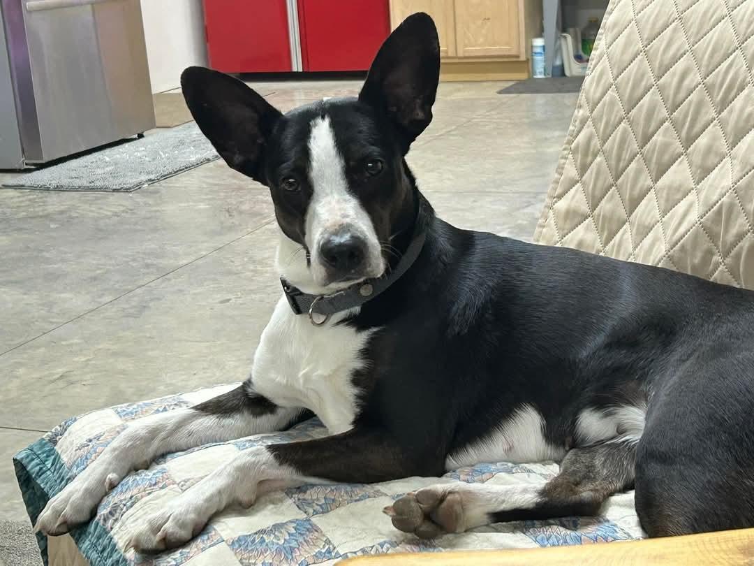 Reggie