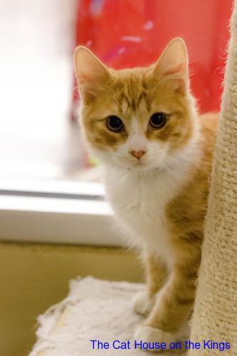 Benjamin — thumbnail 5