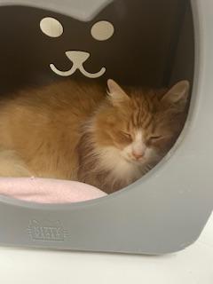 Benjamin — thumbnail 6