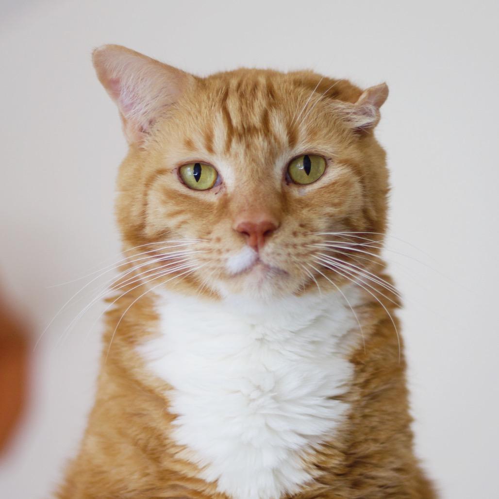 Lenny — thumbnail 3