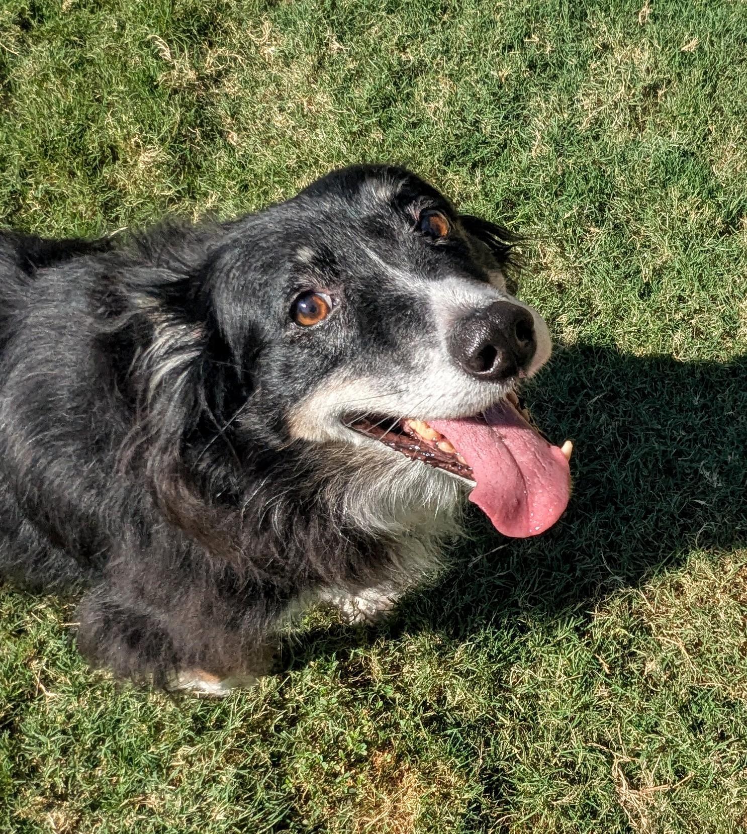 Bailey* A212470