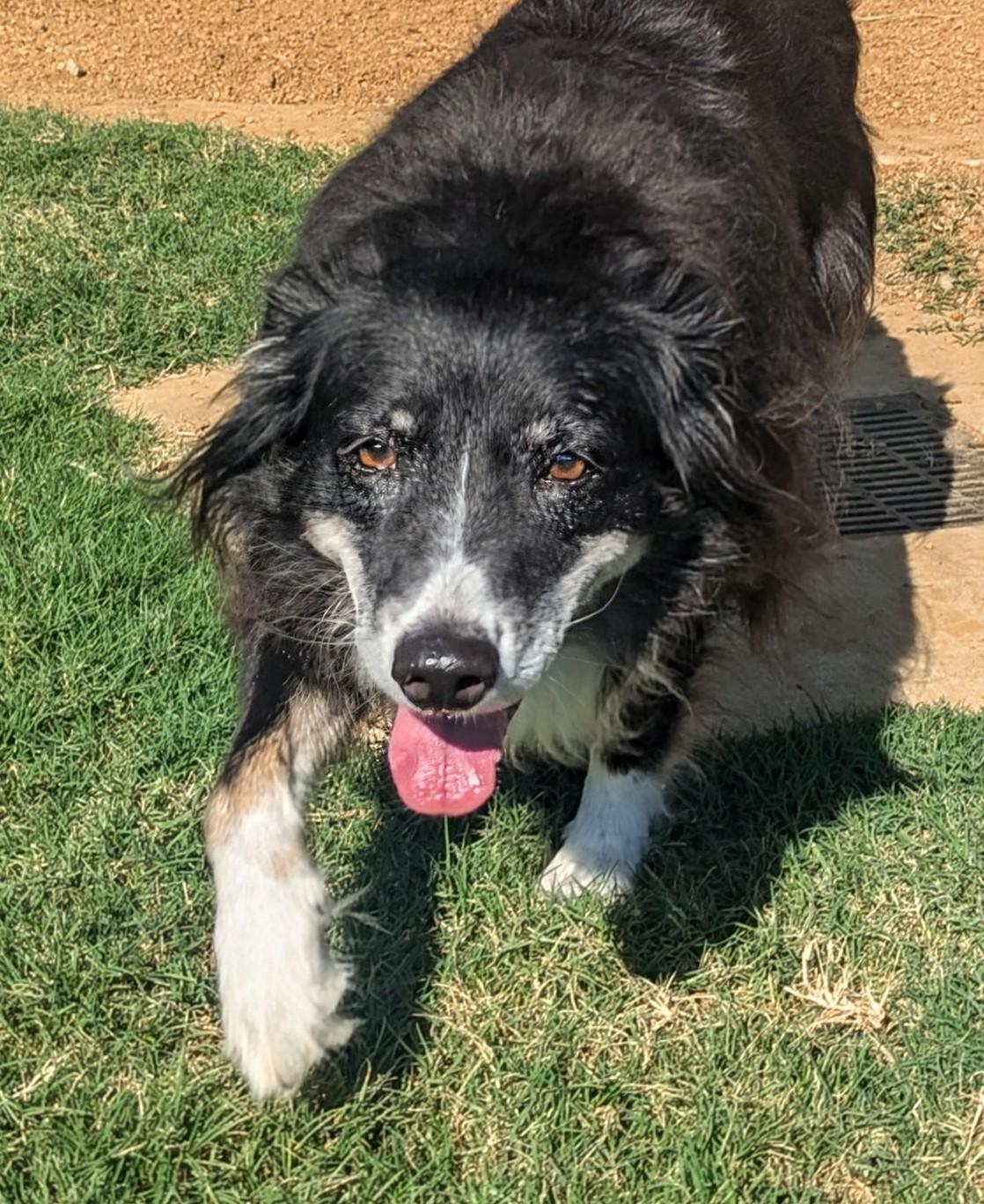 Bailey* A212470