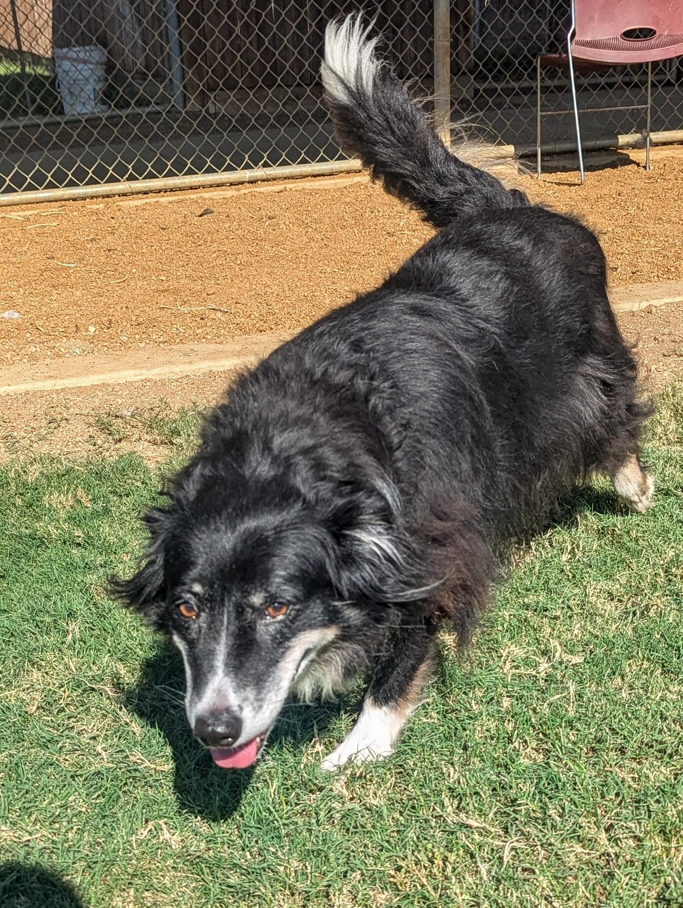 Bailey* A212470