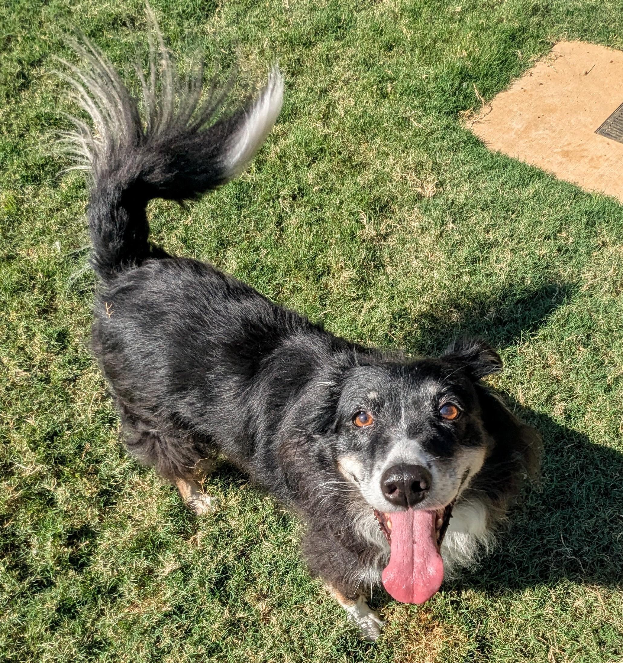 Bailey* A212470