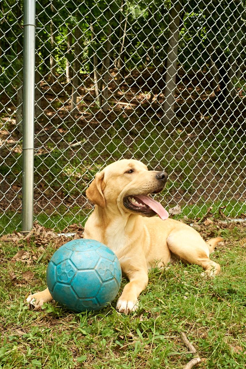 Yogi photo 3