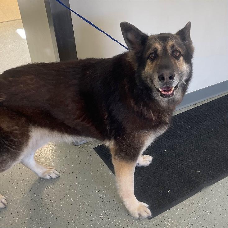 Shane — thumbnail 3