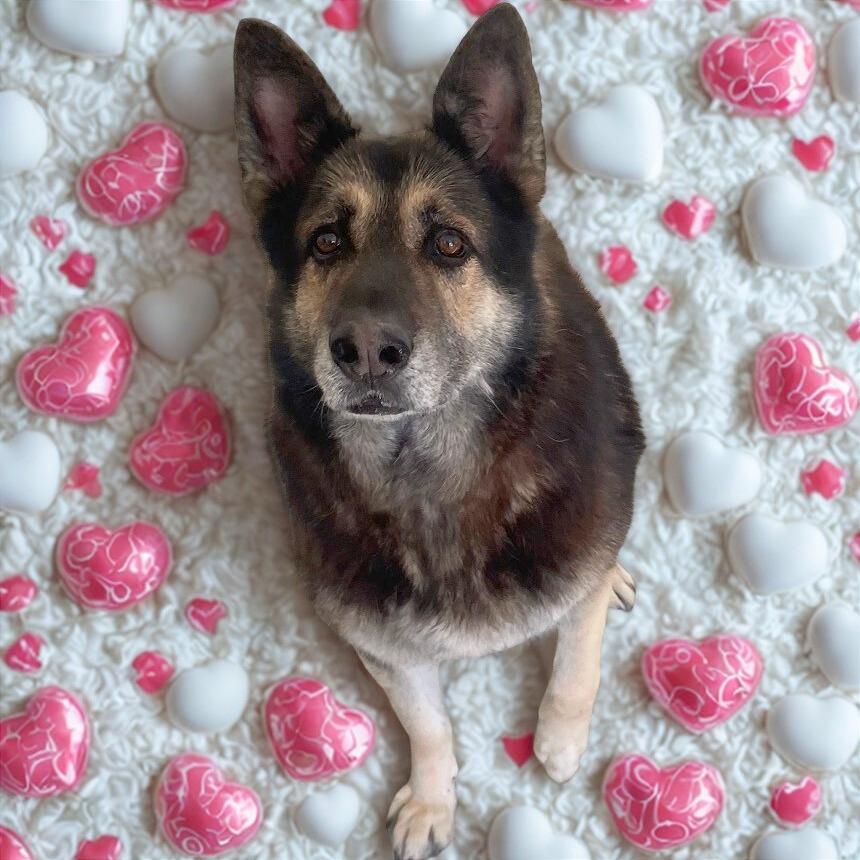 Shane — thumbnail 5