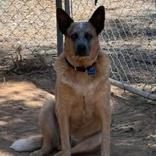 SPROCKET photo 5
