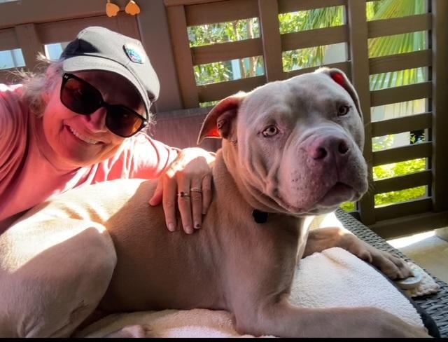 Enlarge Shama Aka Pua, a Adoptable Pit Bull Terrier in San DIego, CA image 2/3