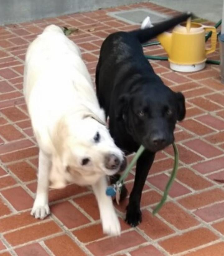 Maverick thumbnail 3