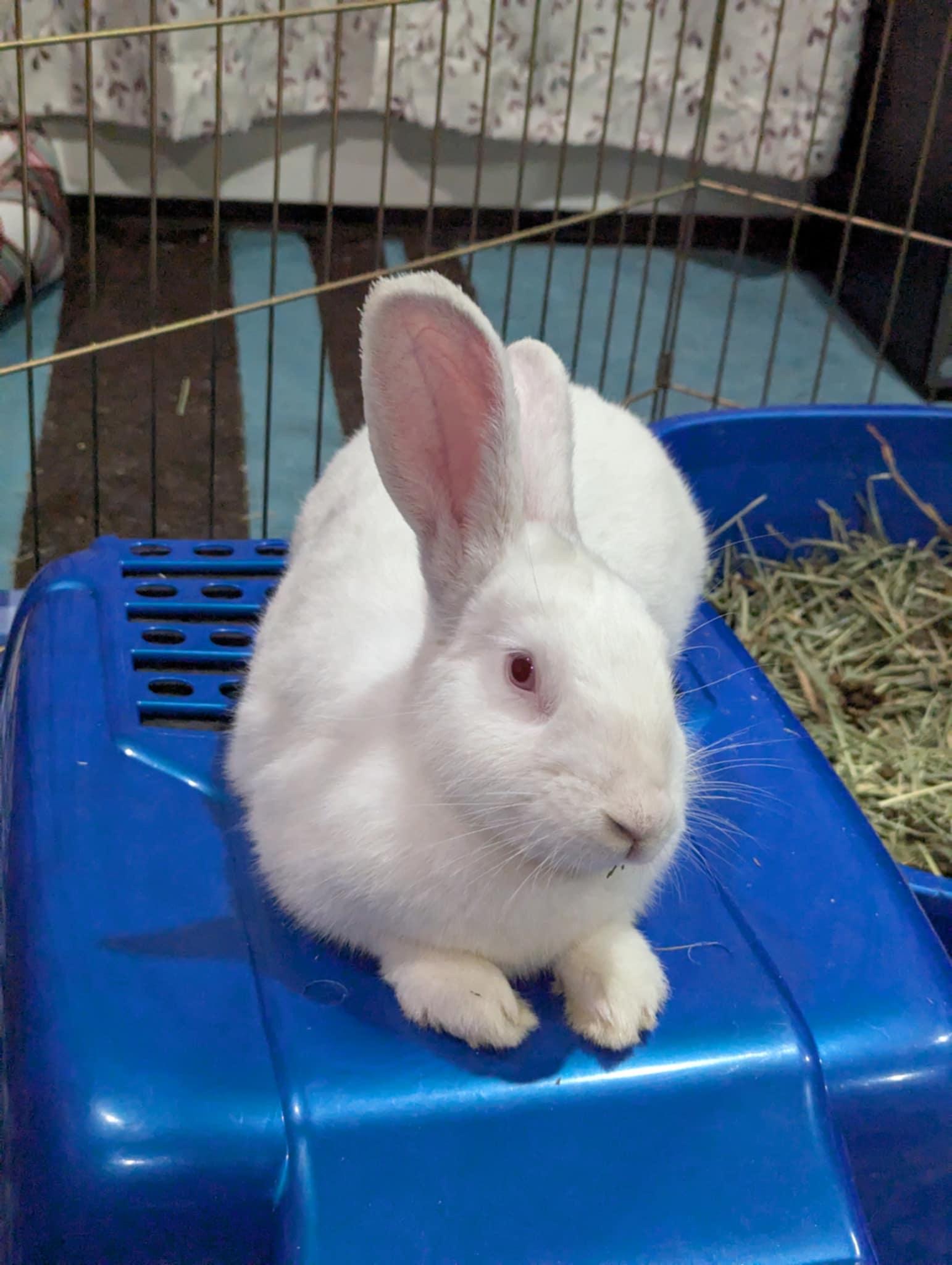 Timothy photo 3