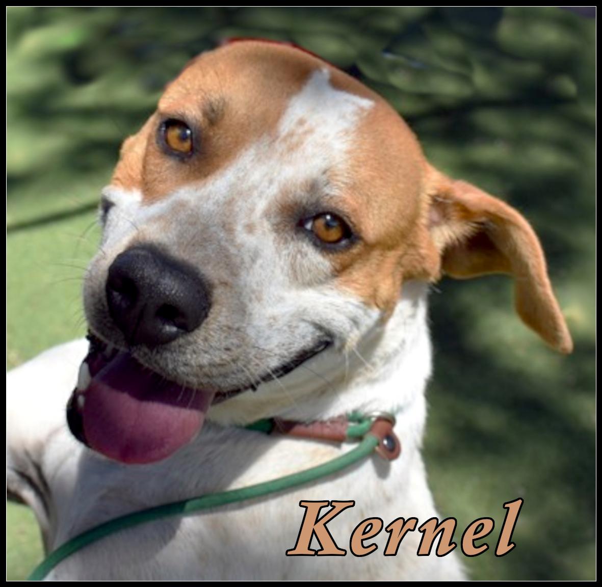 Kernel