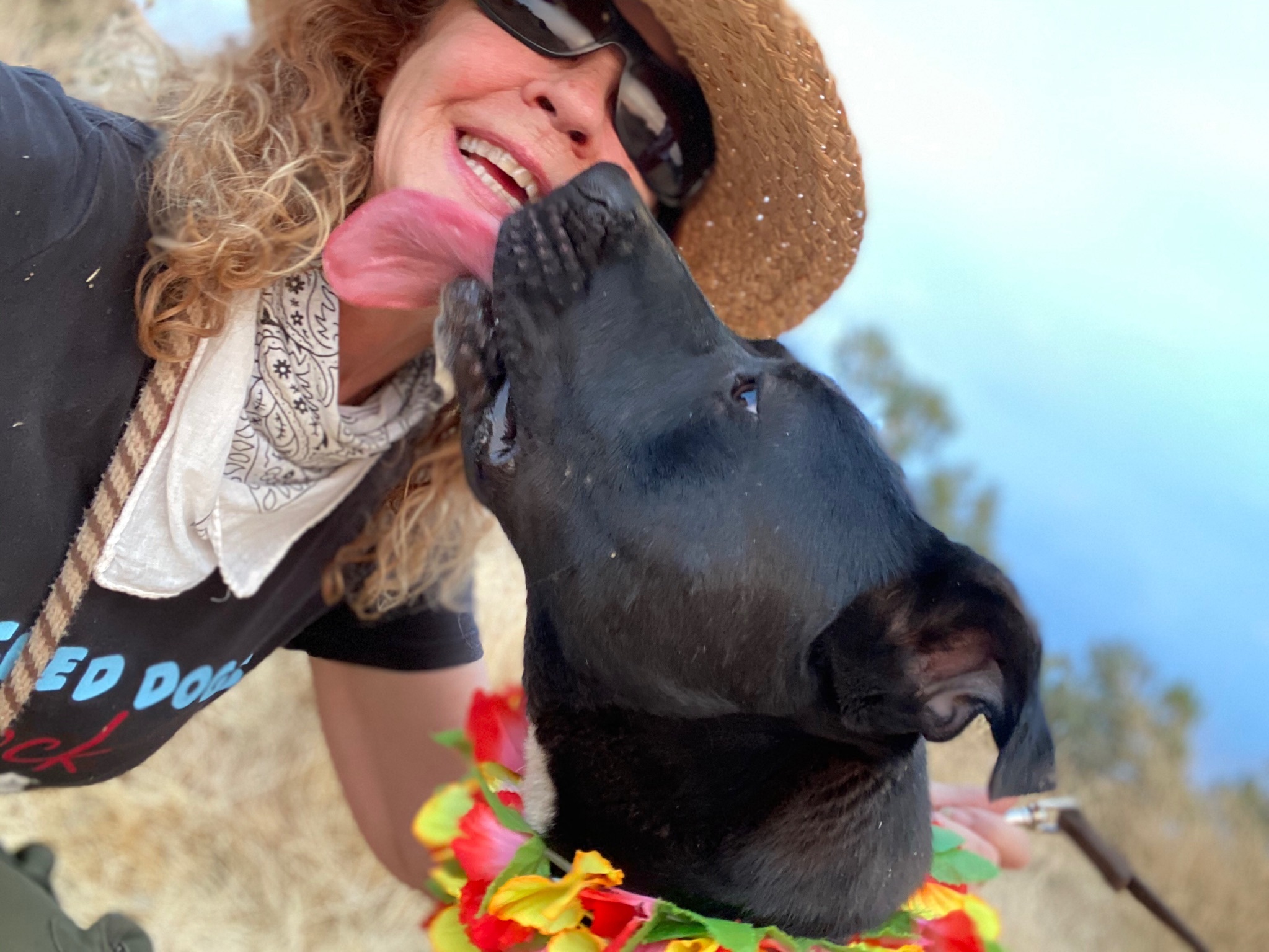 Finnegan Awesome Boy, a Adoptable mixed breed in Acton, CA image 4/10