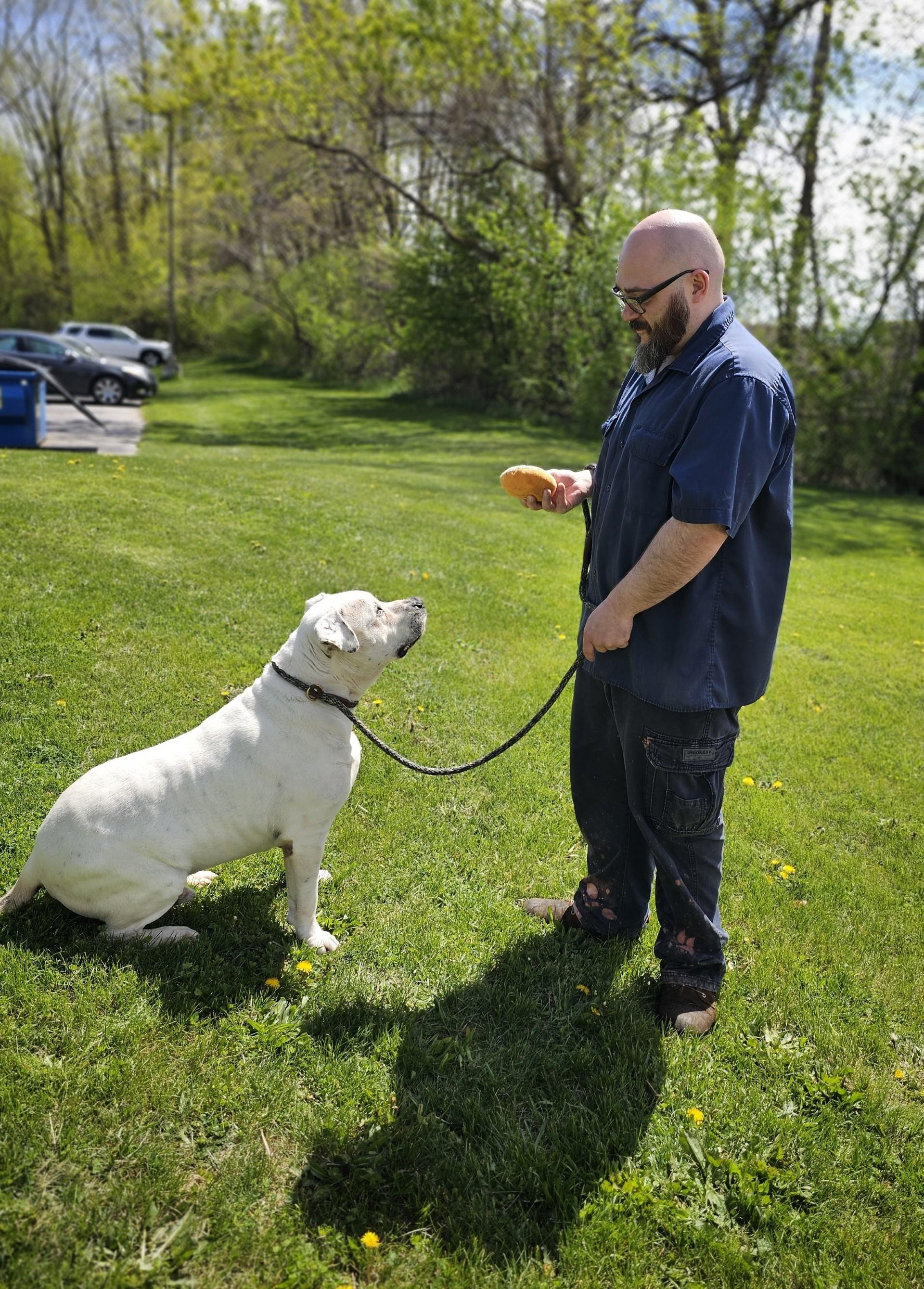Enlarge Wilbur, a ADOPTABLE mixed breed in Bay City, MI image 4/5