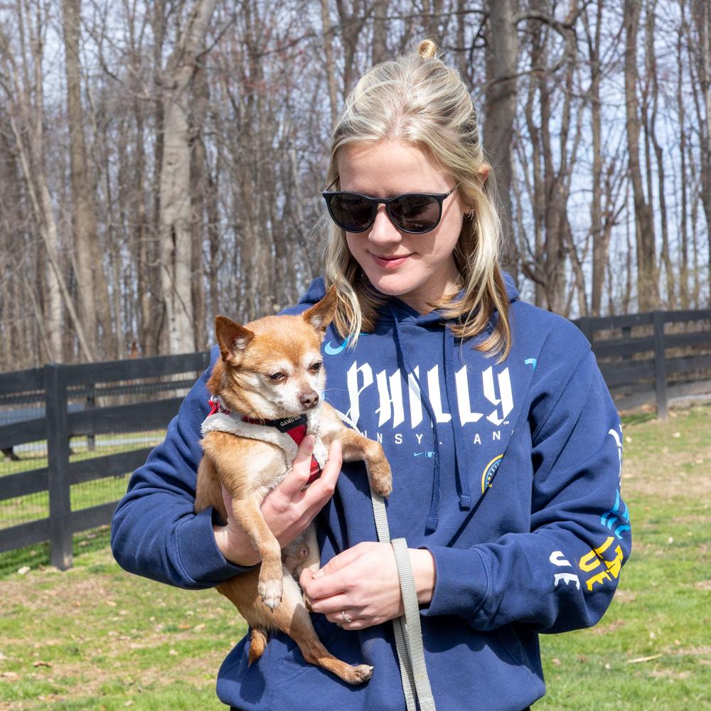 Enlarge Milo (Male), a Adoptable Chihuahua in West Grove, PA image 2/6