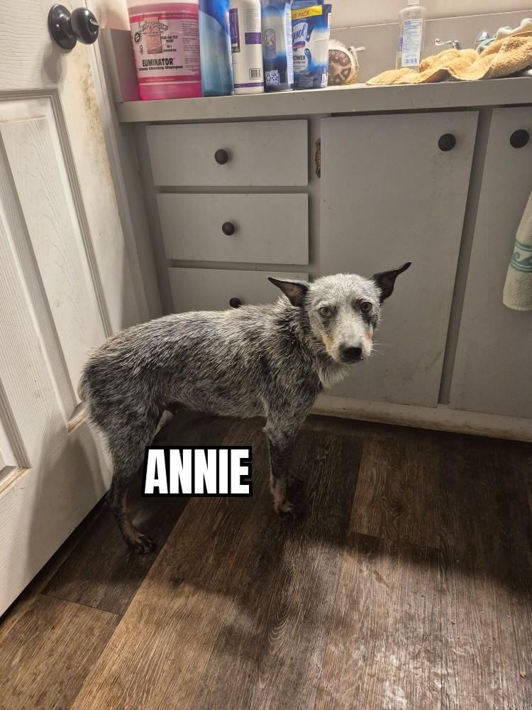 Annie
