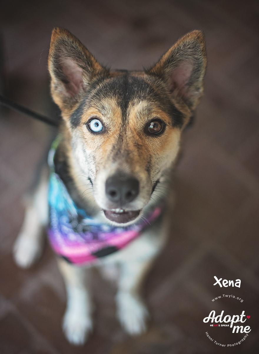 Xena