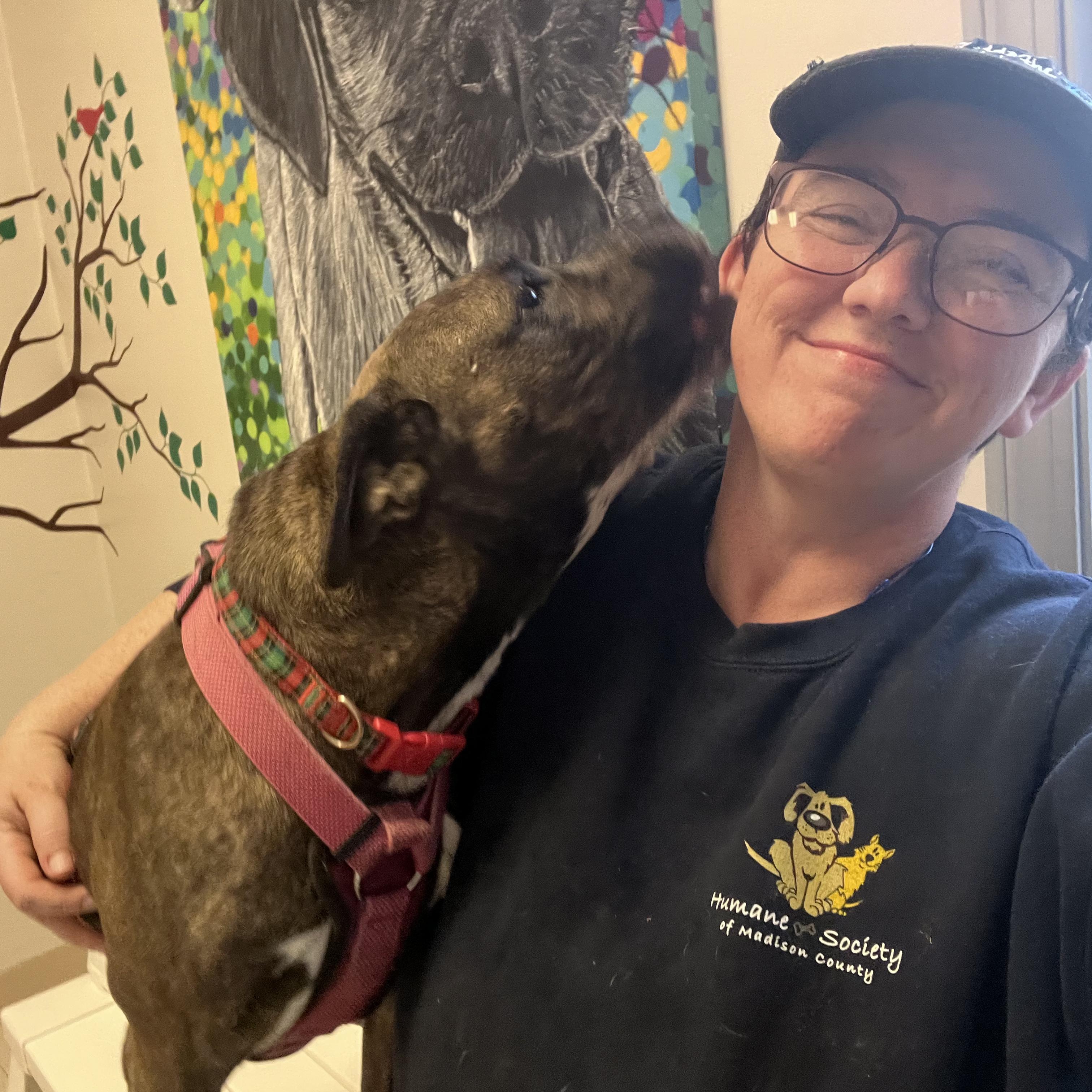 Marjorie, Adoptable, Adult Female Terrier.