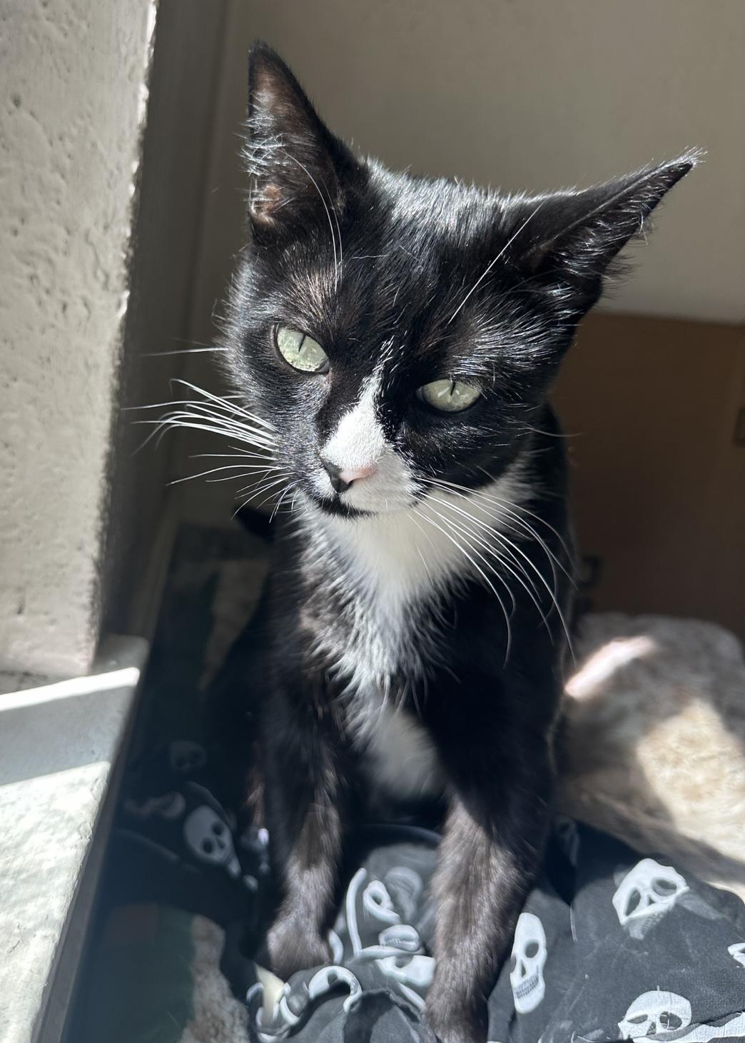 Grace — thumbnail 2