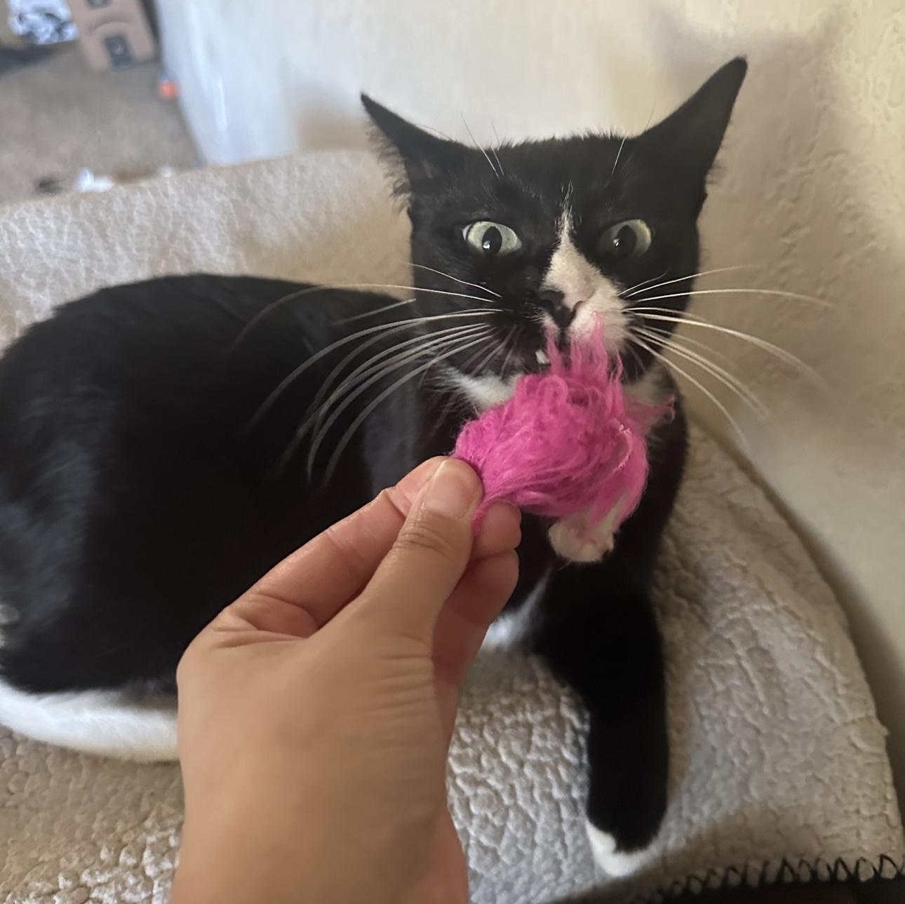 Grace — thumbnail 3