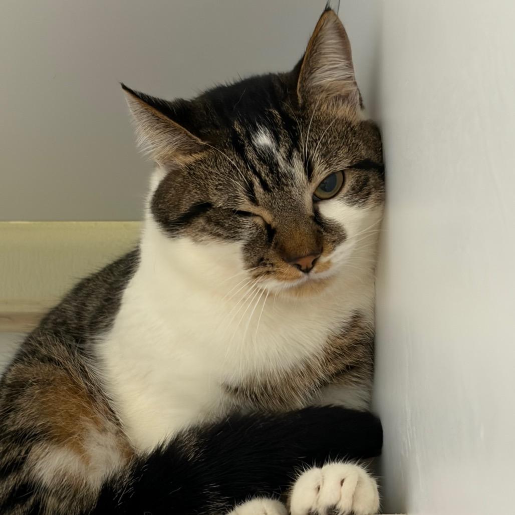 Bingo — thumbnail 2