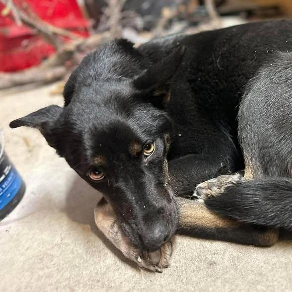 Signe (20260216-12) — thumbnail 2