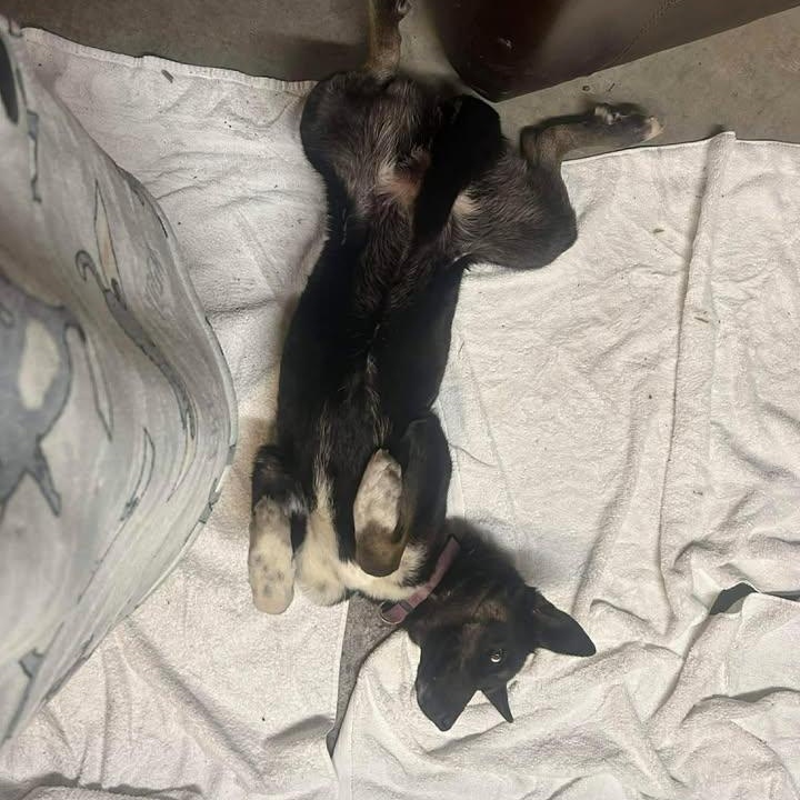 Signe (20260216-12) — thumbnail 3