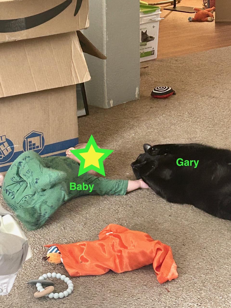 Enlarge **COURTESY LISTING** Gary, a Adoptable mixed breed in Moscow, ID image 4/6