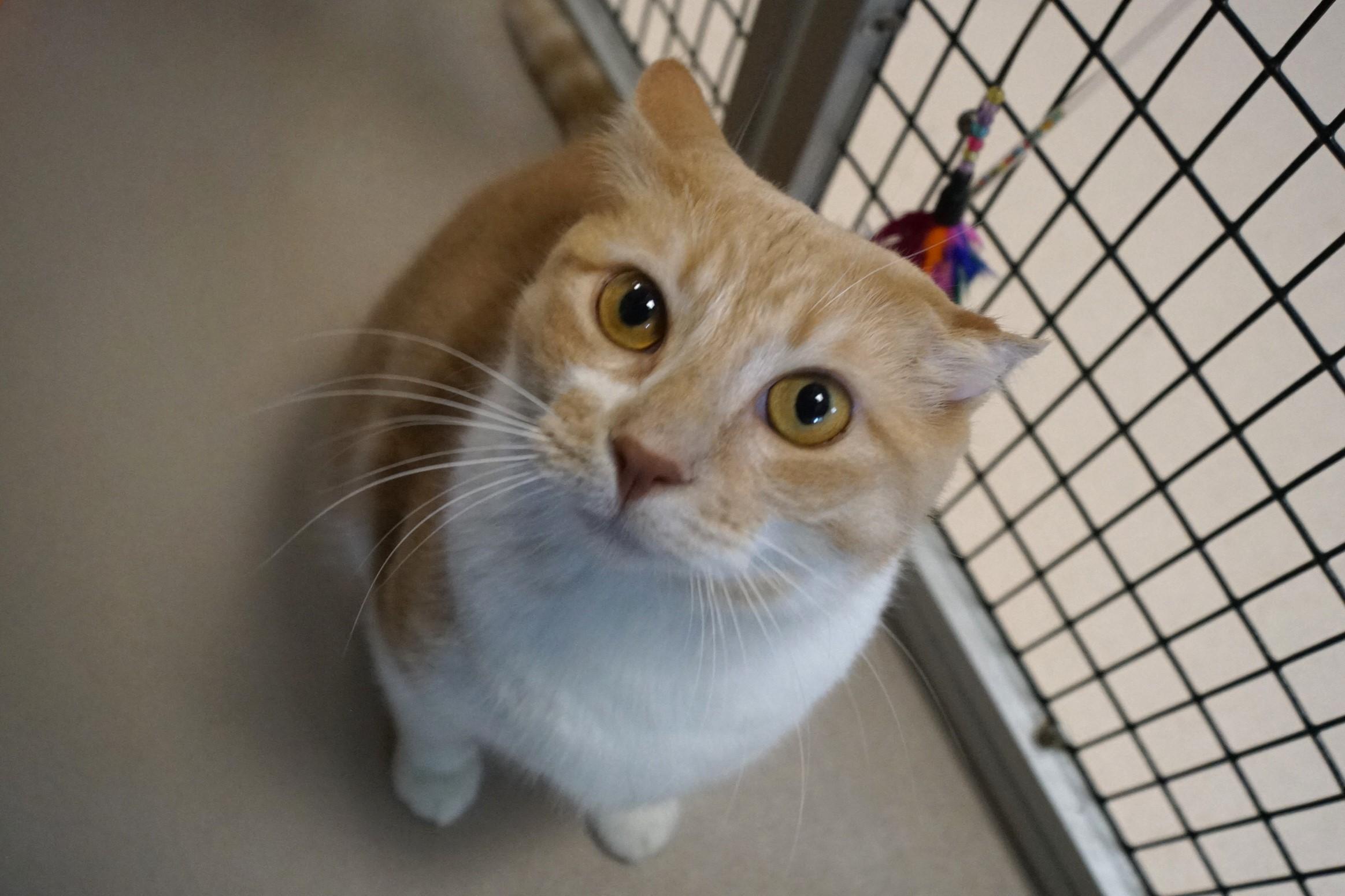 Dario Bonded w/Sergio