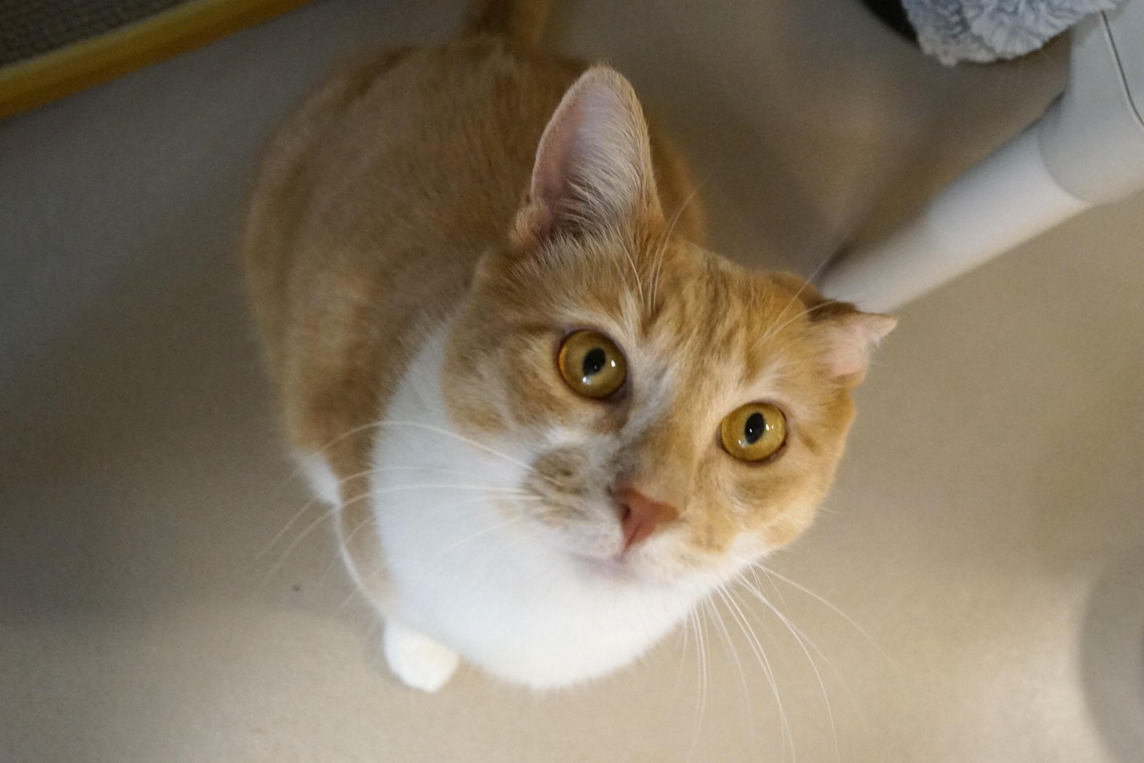 Dario Bonded w/Sergio