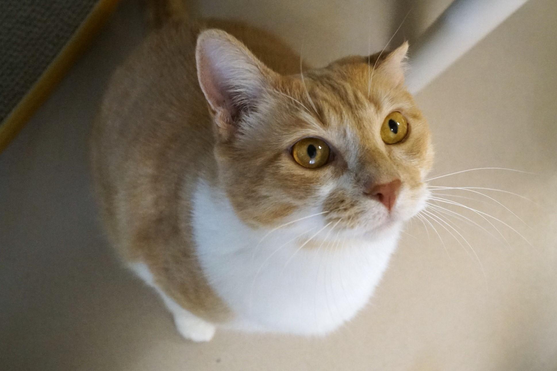 Dario Bonded w/Sergio