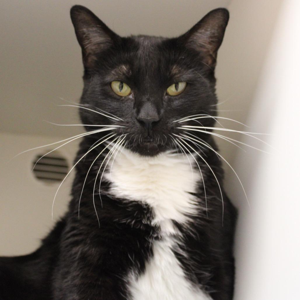 Sushi — thumbnail 2