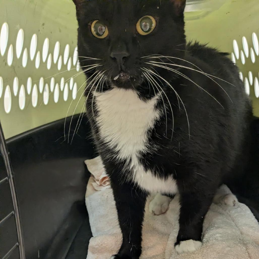 Sushi — thumbnail 3