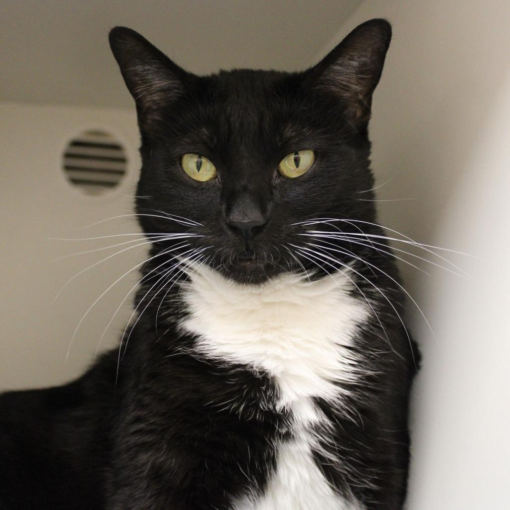 Sushi — thumbnail 4