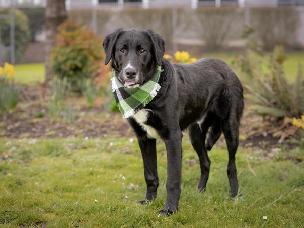 Kenny — thumbnail 3