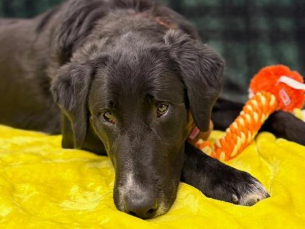 Kenny — thumbnail 4