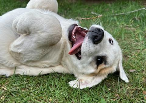 Jennie Jackpot — thumbnail 2