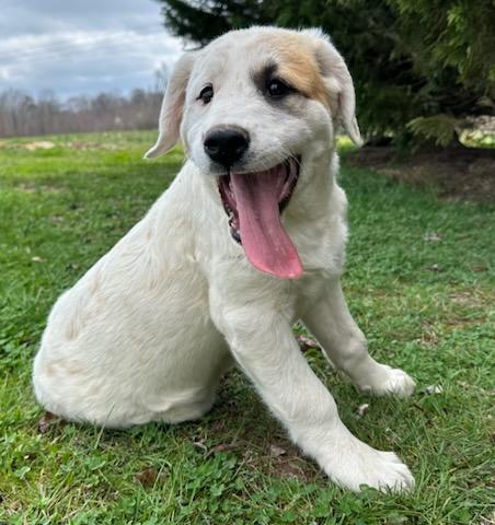 Jennie Jackpot — thumbnail 3