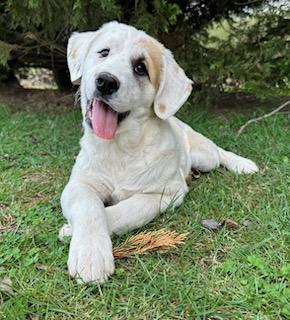 Jennie Jackpot — thumbnail 4