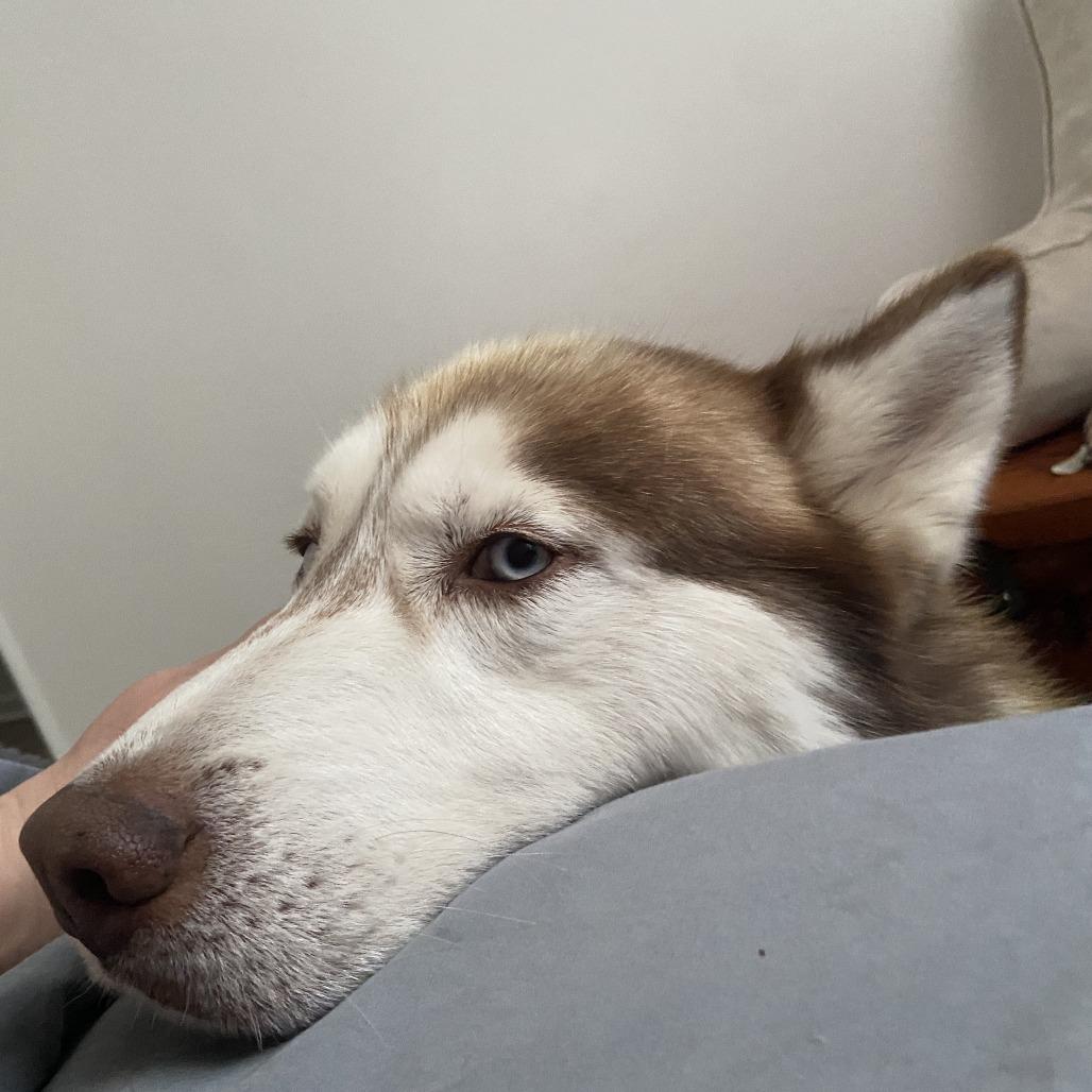 Jasper photo