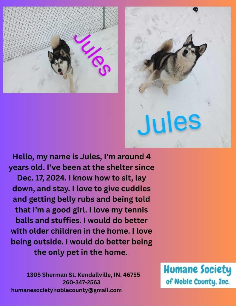 Jules, a Adoptable mixed breed in Kendallville, IN image 1/6