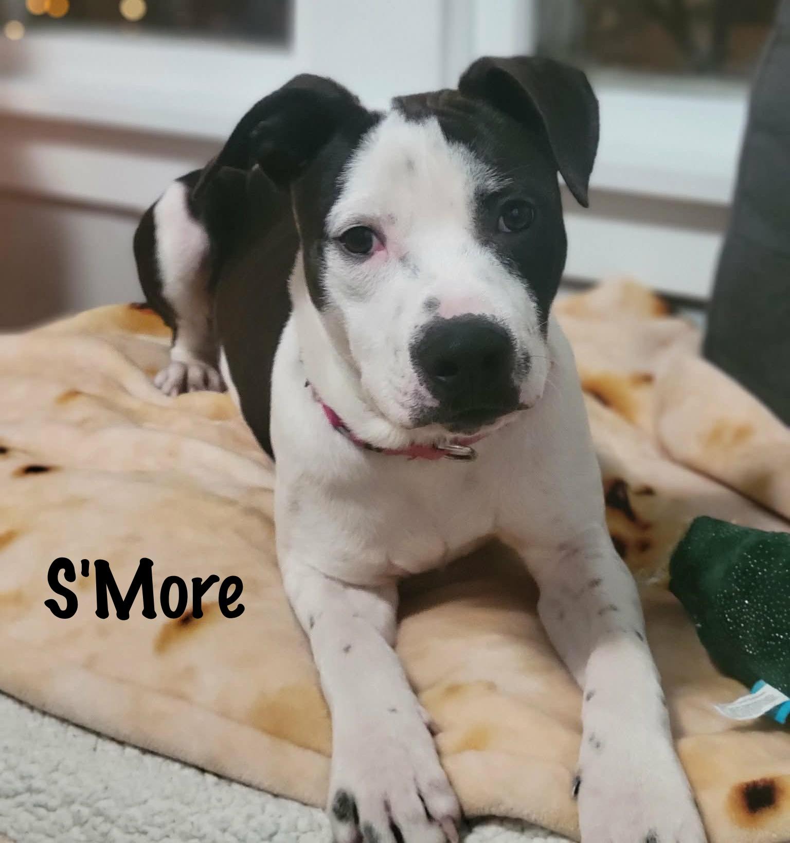 S'more — thumbnail 5