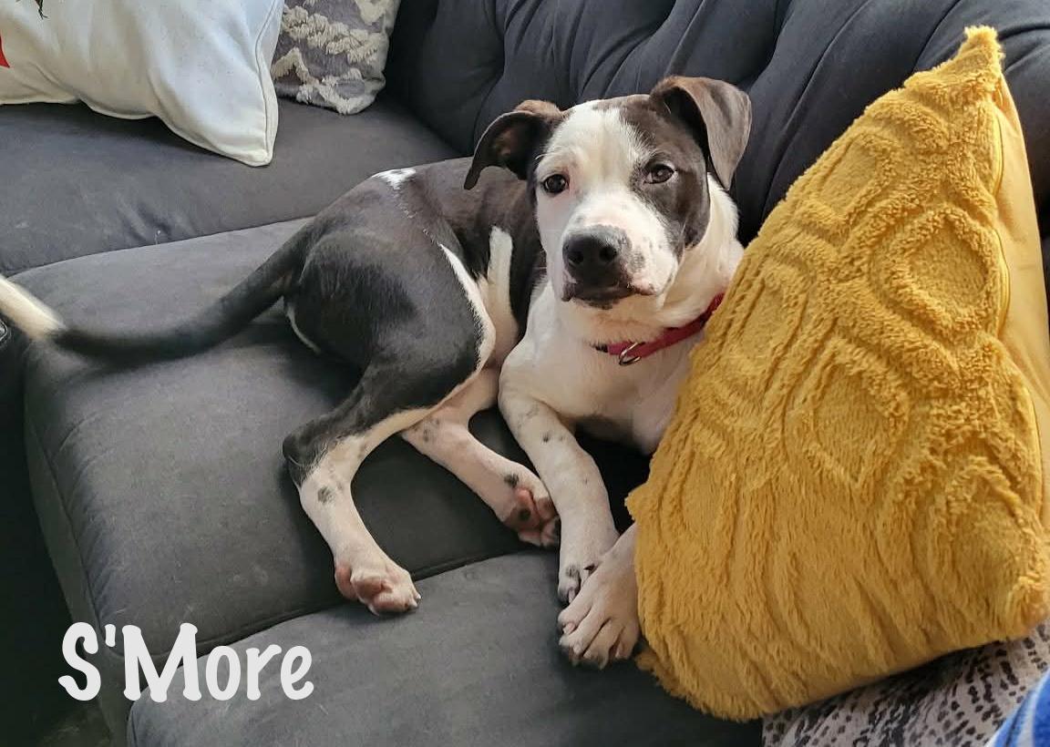 S'more — thumbnail 6