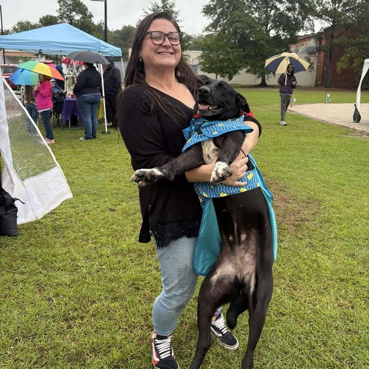Enlarge Sara, a Adoptable mixed breed in Mullins, SC image 1/2