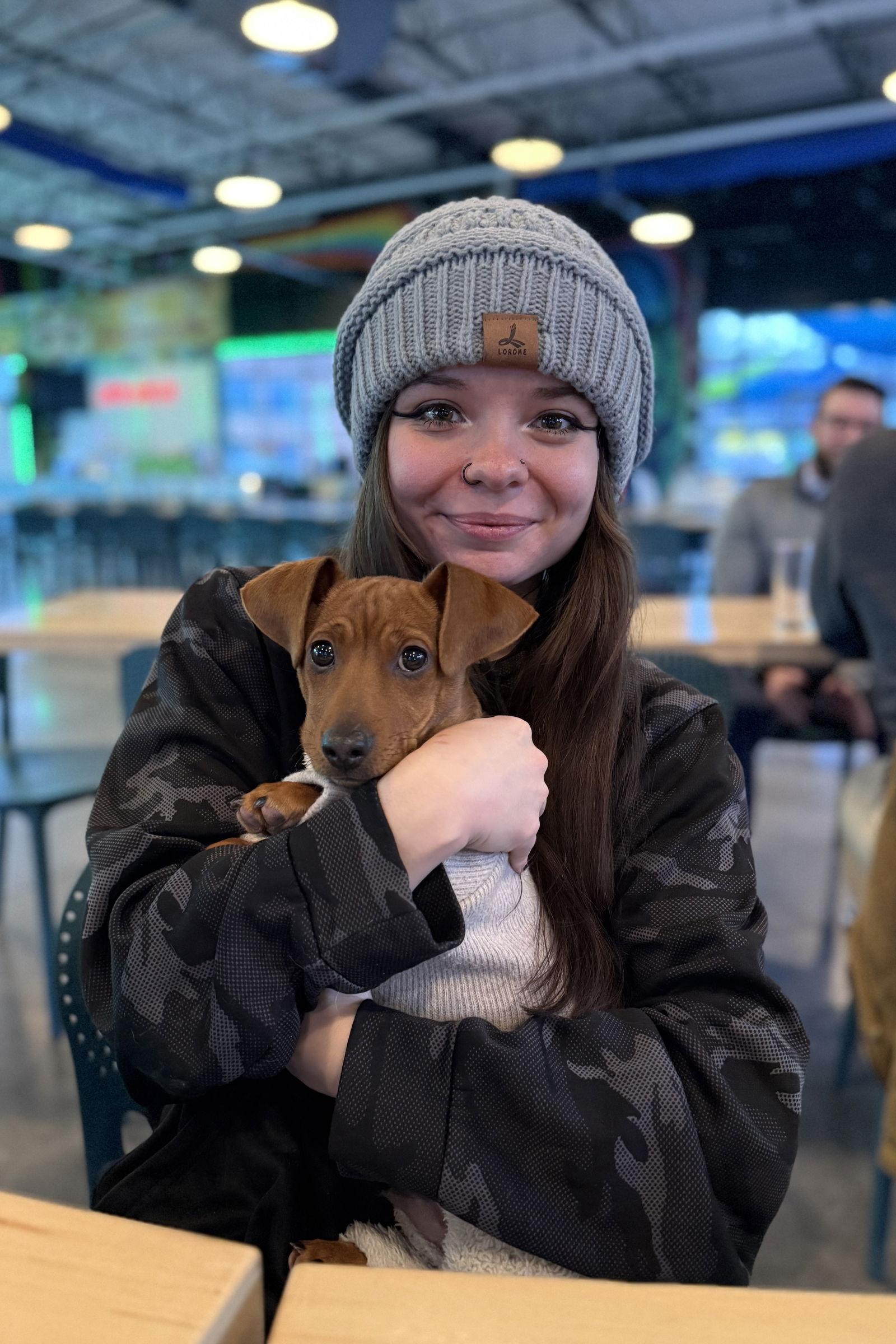 Enlarge Penn - ADOPTION PENDING!, a Adoptable Dachshund in Arlington, VA image 3/3